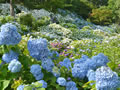 Maizuru Nature Cultural Park