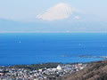 Mt. Fuji viewed from Shonan Village